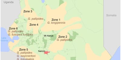 Kenya viện của vẽ bản đồ và khảo sát cấu chi phí